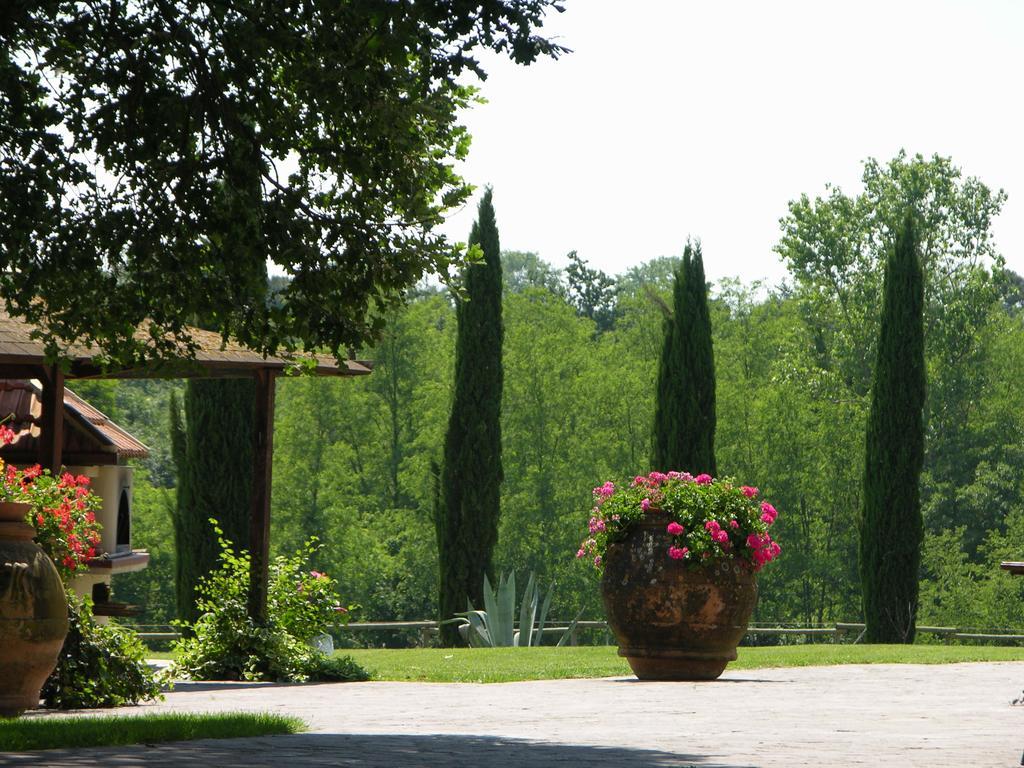 Podere Il Giurato Fauglia Eksteriør billede