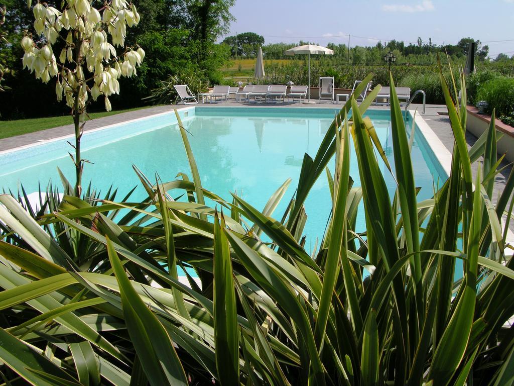 Podere Il Giurato Fauglia Eksteriør billede